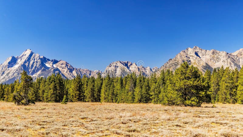 Majestic Mount Moran with its jagged peaks and small glaciers on a clear September day with a deep haze on the horizon from unchecked Canadian Forest Fires. The distinctive dark vein of igneous rock marks a period of volcanic activity from a long time ago. The slopes are covered in alpine fir and subalpine fir trees up to the harsh environment of the tree line above which only rocks occur. While the flats below and across Jackson Lake are covered in grasses and timber of Lodgepole pine and spruce varieties. Majestic Mount Moran with its jagged peaks and small glaciers on a clear September day with a deep haze on the horizon from unchecked Canadian Forest Fires. The distinctive dark vein of igneous rock marks a period of volcanic activity from a long time ago. The slopes are covered in alpine fir and subalpine fir trees up to the harsh environment of the tree line above which only rocks occur. While the flats below and across Jackson Lake are covered in grasses and timber of Lodgepole pine and spruce varieties.