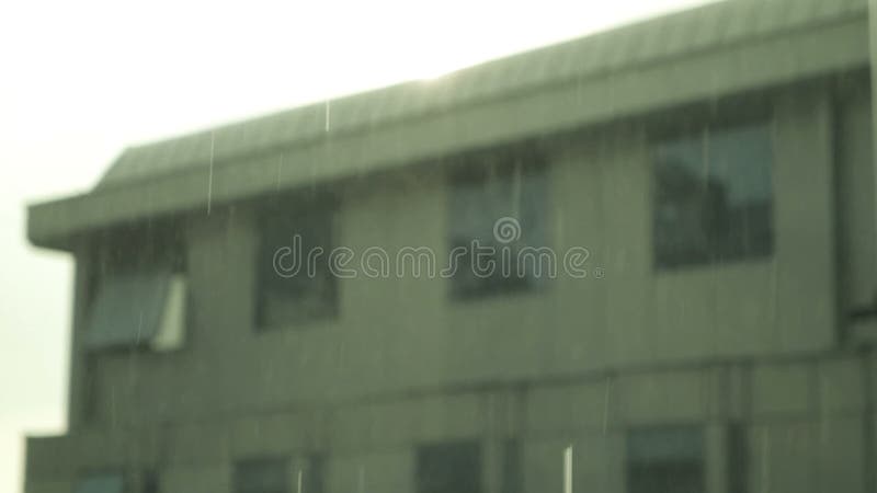 落在城市01的雨