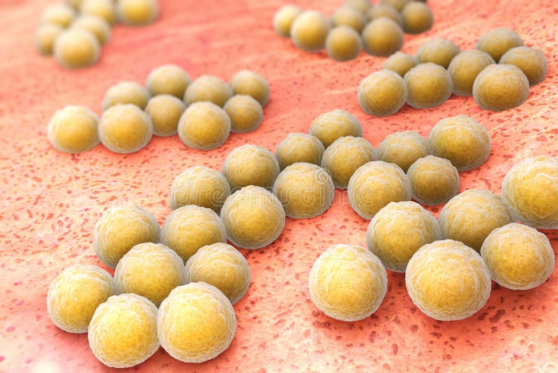 Methicillin-resistant Staphylococcus aureus (MRSA) is a bacterium responsible for several difficult-to-treat infections in humans. Methicillin-resistant Staphylococcus aureus (MRSA) is a bacterium responsible for several difficult-to-treat infections in humans