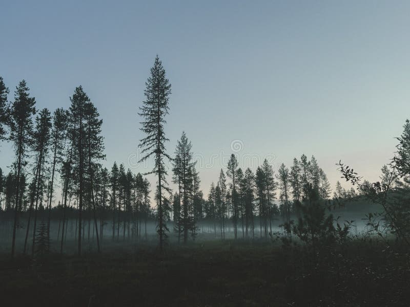 蒙大拿的黎明 库存照片