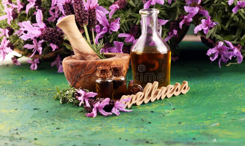 薰衣草草油和薰衣草花 薰衣草芳香疗法按摩油瓶及由薰衣草熏制的保健信 库存图片