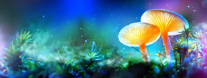 蘑菇 幻想发光的蘑菇在奥秘黑暗森林里 免版税库存图片 蘑菇 幻想发光的蘑菇在奥秘黑暗森林里 免版税库存图片