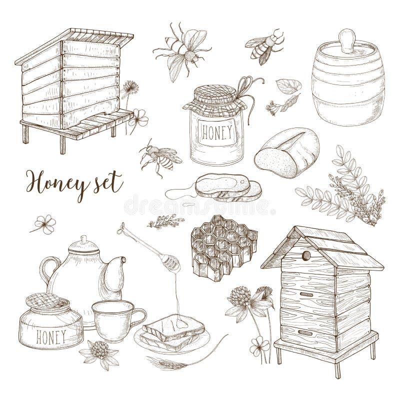 Honey production, beekeeping or apiculture set - honeycomb, man-made beehives, wooden dipper, bees, teapot hand drawn in retro style on white background. Monochrome vector illustration. Honey production, beekeeping or apiculture set - honeycomb, man-made beehives, wooden dipper, bees, teapot hand drawn in retro style on white background. Monochrome vector illustration