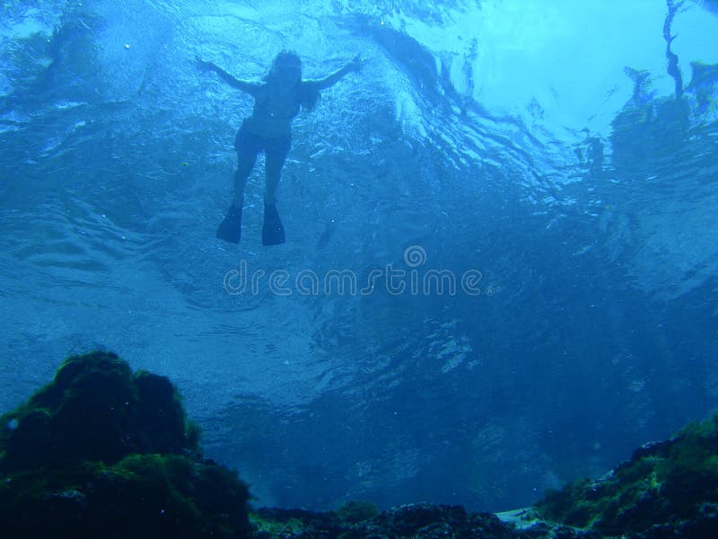 Shot of a young girl exploring the underwater world from the surface of the water. Ichetucknee Spring | Ichetucknee Springs State Park | Fort White | Florida. Shot of a young girl exploring the underwater world from the surface of the water. Ichetucknee Spring | Ichetucknee Springs State Park | Fort White | Florida