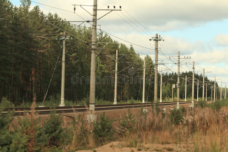 Electrified railway going into the distance through forest. Electrified railway going into the distance through forest