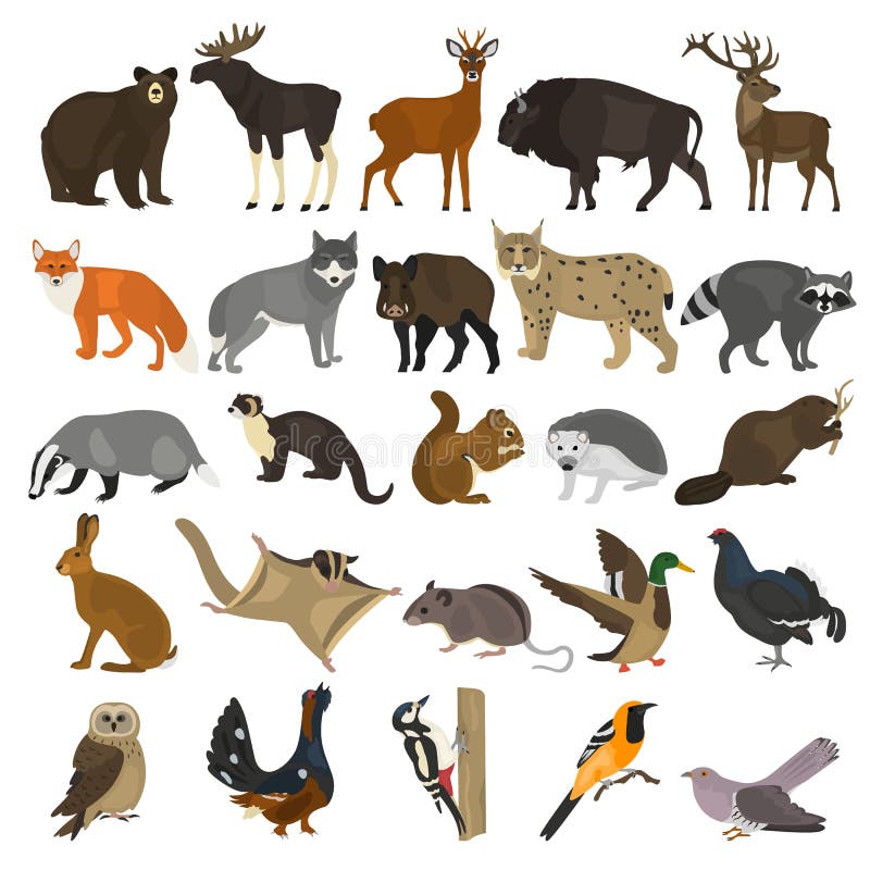 Forest animals color flat icons set for web and mobile design. Forest animals color flat icons set for web and mobile design