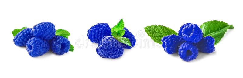 Set with fresh ripe blue raspberry on white background. Set with fresh ripe blue raspberry on white background