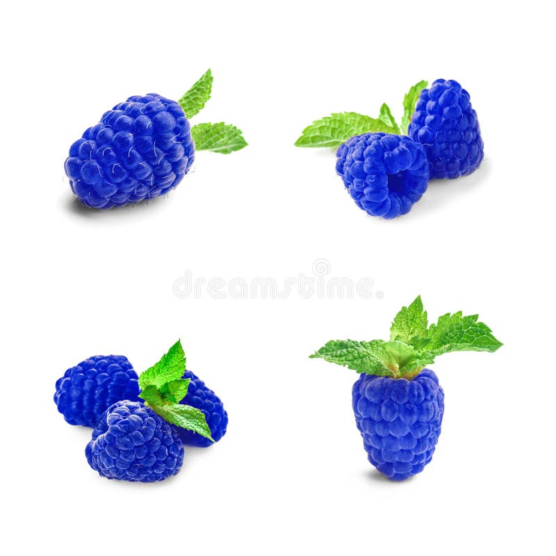 Set with fresh ripe blue raspberry on white background. Set with fresh ripe blue raspberry on white background