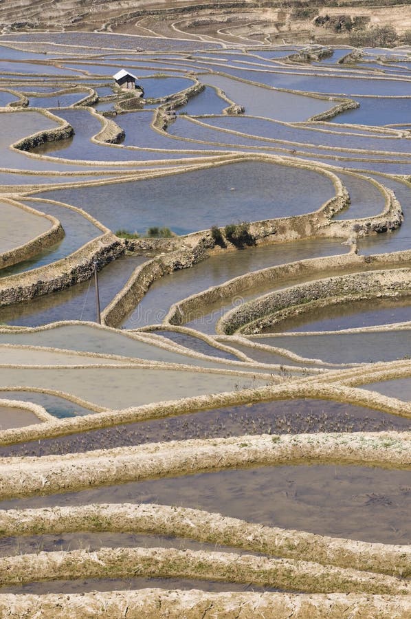 Yuanyang terraced fields locate in China Yunnan Yuanyang county, be what Hani national minority people from generation to generation leave's masterpiece. Yuanyang Hani national minority assart de terraced fields as landform change, suit measures to local conditions, slope's slow field big then assart land for growing field crops, slope's steep field small then assart small field, even ditch side bank under stone crack too open field, therefore terraced fields big person get the idea Mou, little person only ens dustpan big, often a slope have thousands of Mou. Yuanyang county churchyard all is high mountains and towering peaks, all terraced fields all construct on the feet of hillside, terraced fields' gradient to 75 between at 15. As a hillside but discuss, terraced fields' highest progression reach 3000 grade, this is rare in chinese and foreign terraced fields' view. Yuanyang terraced fields locate in China Yunnan Yuanyang county, be what Hani national minority people from generation to generation leave's masterpiece. Yuanyang Hani national minority assart de terraced fields as landform change, suit measures to local conditions, slope's slow field big then assart land for growing field crops, slope's steep field small then assart small field, even ditch side bank under stone crack too open field, therefore terraced fields big person get the idea Mou, little person only ens dustpan big, often a slope have thousands of Mou. Yuanyang county churchyard all is high mountains and towering peaks, all terraced fields all construct on the feet of hillside, terraced fields' gradient to 75 between at 15. As a hillside but discuss, terraced fields' highest progression reach 3000 grade, this is rare in chinese and foreign terraced fields' view.