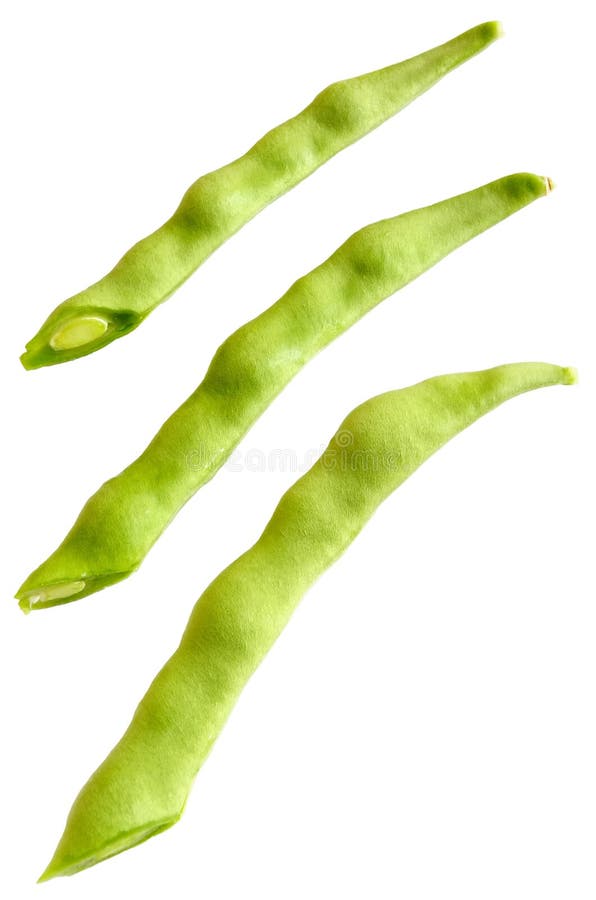 Cuted young bean pods isolated on white background. Cuted young bean pods isolated on white background