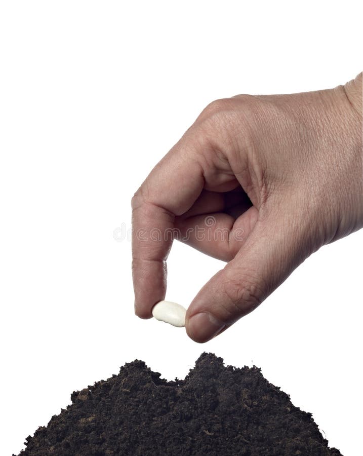 Close up of hand seeding new plant in ground on white background with clipping path. Close up of hand seeding new plant in ground on white background with clipping path