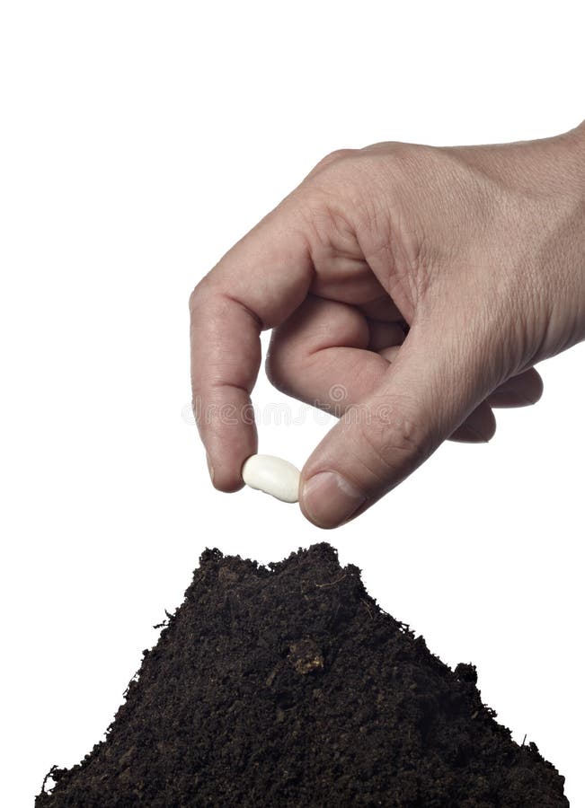 Close up of hand seeding new plant in ground on white background with clipping path. Close up of hand seeding new plant in ground on white background with clipping path