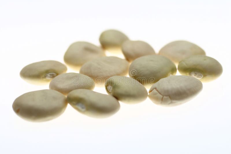 Lima bean seeds. The beans in the foreground are in focus. Lima bean seeds. The beans in the foreground are in focus.