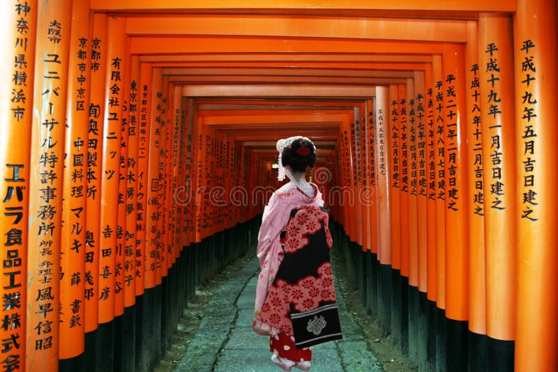 A geisha is walking inside the shintoist inari temple at kyoto in japan. A geisha is walking inside the shintoist inari temple at kyoto in japan