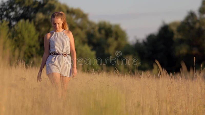 走在与高草的领域的美丽的女孩在落日的光芒