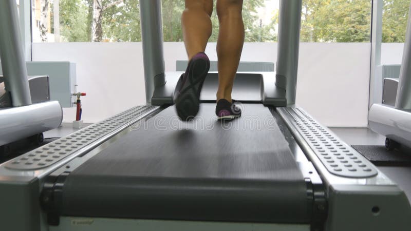 走在健身房的踏车的女性腿 行使在心脏锻炼期间的少妇 女孩的脚体育鞋子的