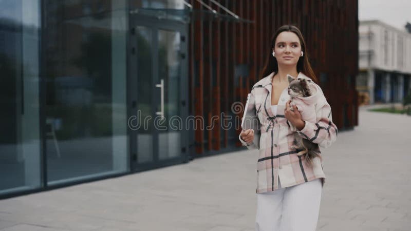 走路时，一个白种人女人拿着手提电脑，手上拿着一个小吉娃娃. 穿着时髦的宠物 影视素材