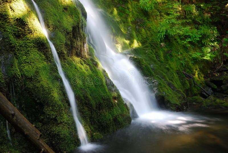 Madison Falls in Olympic National Park in Washington State, USA. Madison Falls in Olympic National Park in Washington State, USA