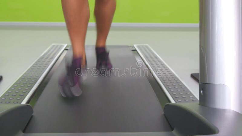跑步和运行在健身房的踏车的女性腿 行使在心脏锻炼期间的少妇 女孩的脚