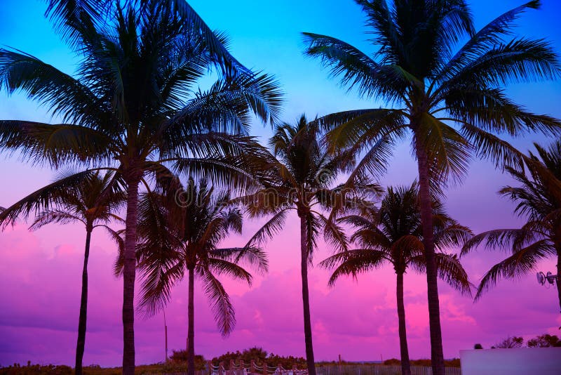 迈阿密海滩南海滩日落棕榈树佛罗里达
