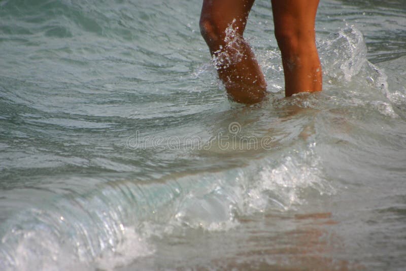 A close-up of a person's legs taking the first few steps into the sea. A close-up of a person's legs taking the first few steps into the sea