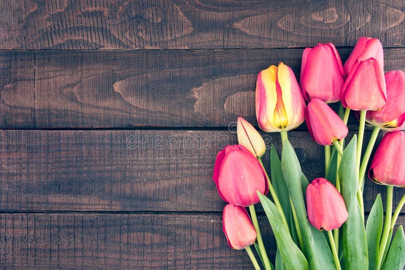 Frame of tulips on dark rustic wooden background. Spring flowers. Spring background. Valentine's Day and Mother's Day background. Top view. Frame of tulips on dark rustic wooden background. Spring flowers. Spring background. Valentine's Day and Mother's Day background. Top view.