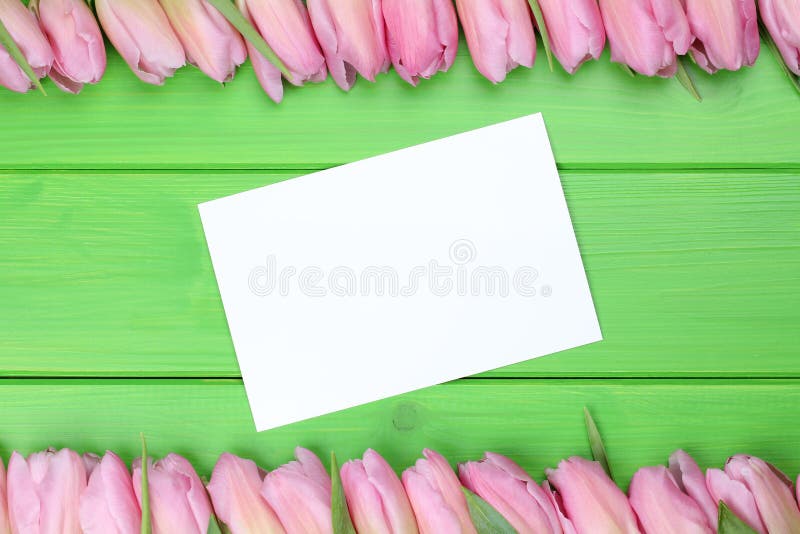 Frame from tulips flowers in spring or mothers day with greeting card and copyspace for your own text. Frame from tulips flowers in spring or mothers day with greeting card and copyspace for your own text