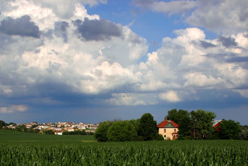 Vanishing Farmland (cornfield and house with housing development). Vanishing Farmland (cornfield and house with housing development)