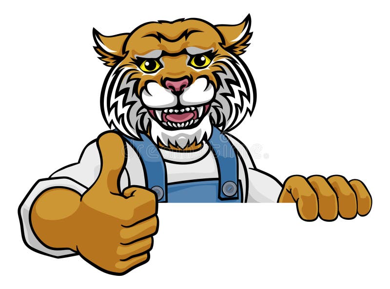 A wildcat cartoon animal mascot gardener, carpenter, handyman, decorator or builder construction worker peeking around a sign and giving a thumbs up. A wildcat cartoon animal mascot gardener, carpenter, handyman, decorator or builder construction worker peeking around a sign and giving a thumbs up