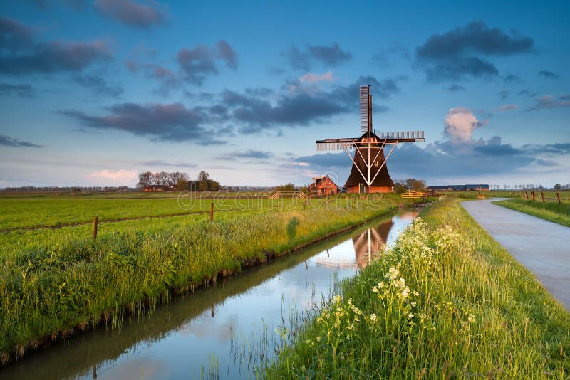 Wildflowers and dutch windmill by river at sunrise, Groningen, Netherlands. Wildflowers and dutch windmill by river at sunrise, Groningen, Netherlands