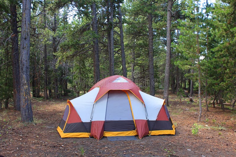 Tent camping in the forest. Tent camping in the forest.