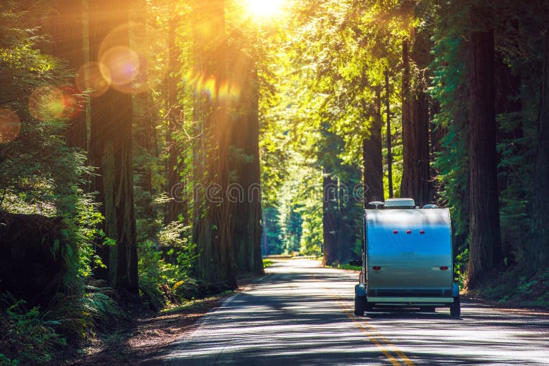 Camping in Redwoods. Travel Trailer RV on the Redwood Highway. California RVing. Camper on the Road. Camping in Redwoods. Travel Trailer RV on the Redwood Highway. California RVing. Camper on the Road.