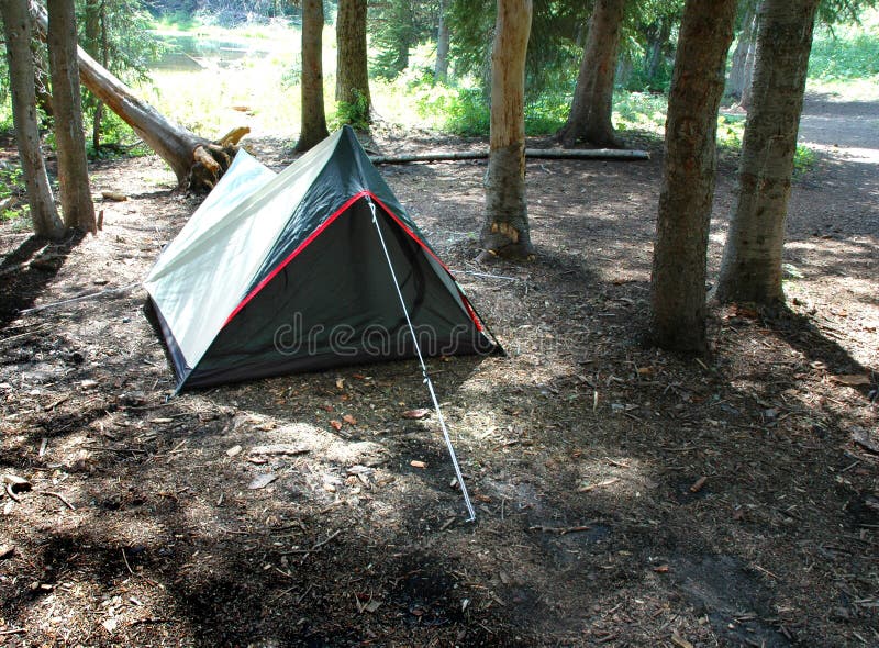 Tent for camping in forest camp ground. Tent for camping in forest camp ground