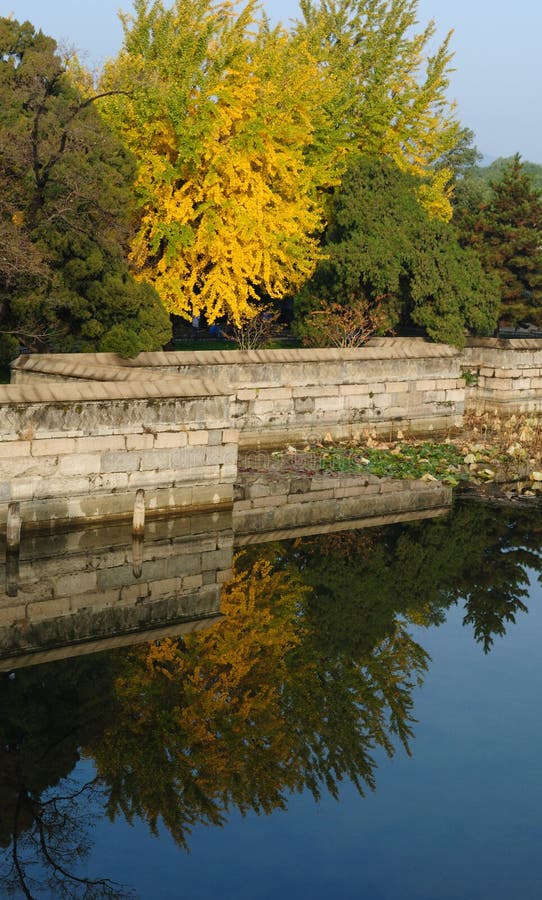 The picture was shot on a warm day in the fall in Summer Palace in Beijing, China. The picture was shot on a warm day in the fall in Summer Palace in Beijing, China.