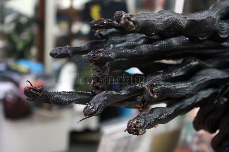 Black coral snake dry out for sale. Black coral snake dry out for sale.