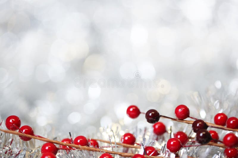 Silver Christmas background with red berries. Silver Christmas background with red berries