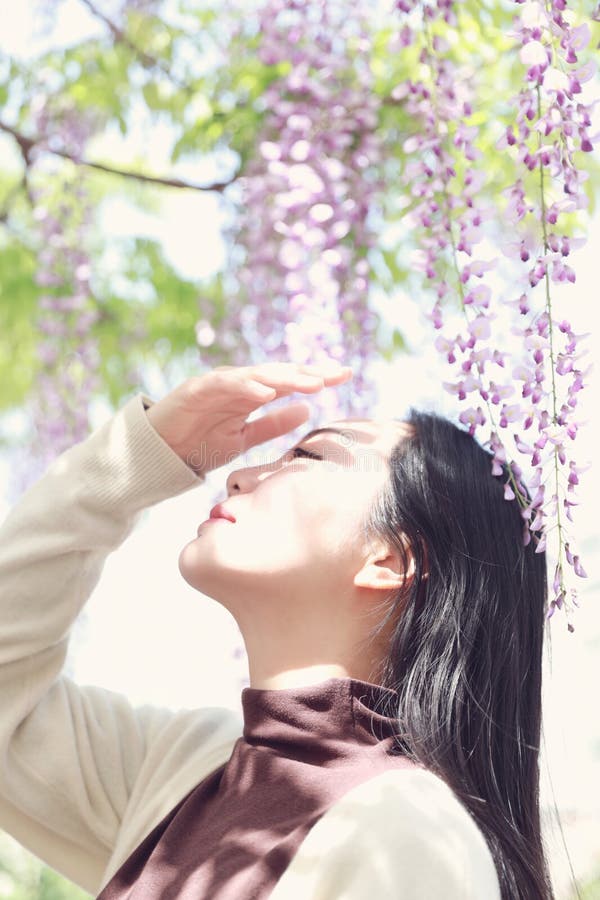 阳光明媚春日紫藤田长黑头发亚洲华美女的特写 库存照片