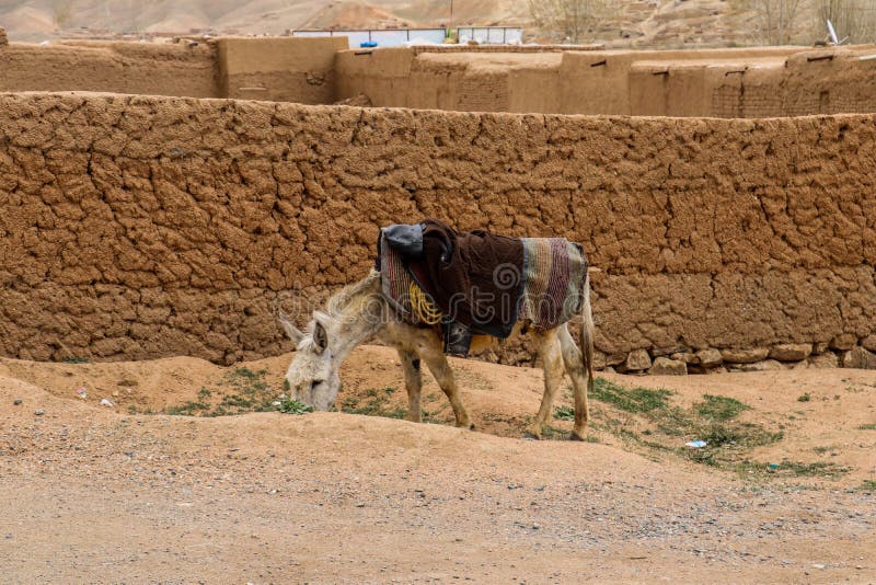 阿富汗村庄生活在Bamyan 库存照片