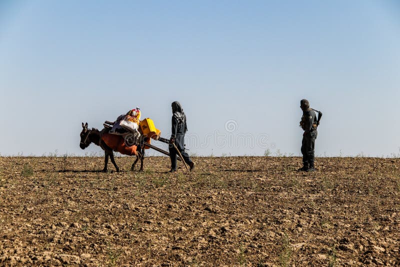 阿富汗乡村长老在自己的土地上劳作 免版税图库摄影