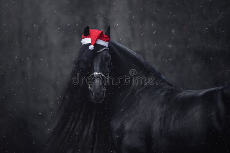降雪时森林红帽长鬃圣诞马 库存照片 降雪时森林红帽长鬃圣诞马 库存照片