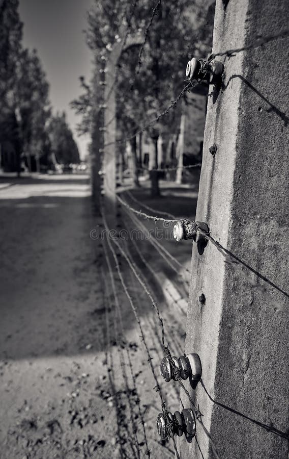 Detail of an electrified chain link of a Nazi concentration camp in Poland. Detail of an electrified chain link of a Nazi concentration camp in Poland