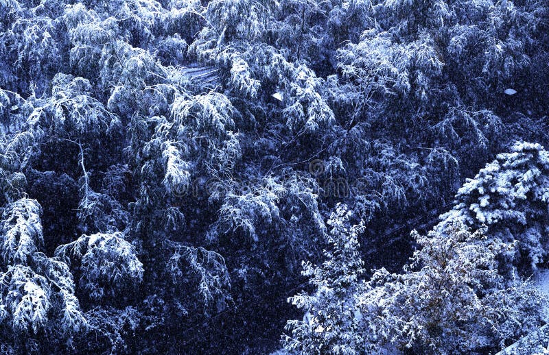 Beijing's heavy snow, snow drift in the air,They form a lot of spot. Beijing's heavy snow, snow drift in the air,They form a lot of spot