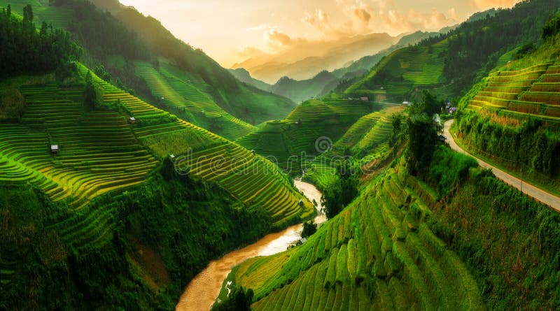 露台的米领域在Mu Cang柴，越南
