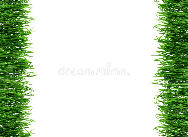 Frame with dew on Seamless fresh spring green grass isolated on white background. Frame with dew on Seamless fresh spring green grass isolated on white background