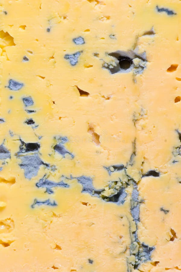 Yellow cheese with blue mold slice macro. Yellow cheese with blue mold slice macro