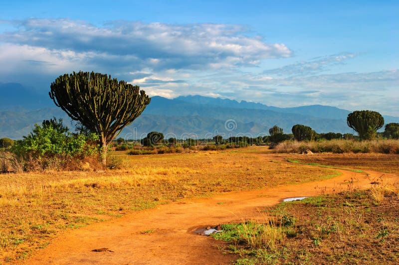 African savanna, Queen Elizabeth National Park, Uganda. African savanna, Queen Elizabeth National Park, Uganda