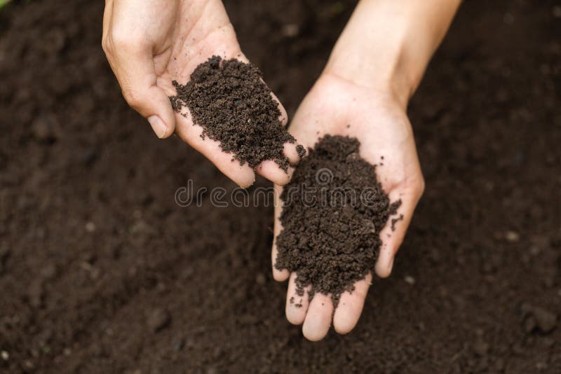 Top view. Farmer holding soil in hands.  The researchers check the quality of the soil.  Agriculture, gardening or ecology concept layout , copy space. Top view. Farmer holding soil in hands.  The researchers check the quality of the soil.  Agriculture, gardening or ecology concept layout , copy space.