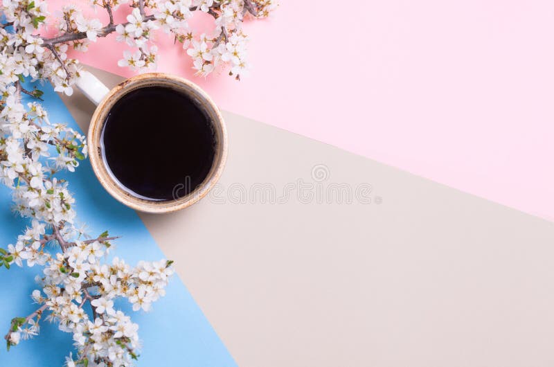 顶视图和咖啡平的位置和进展的树枝在桃红色和蓝色背景 安置文本 Copyspace 免版税库存图片 顶视图和咖啡平的位置和进展的树枝在桃红色和蓝色背景 安置文本 Copyspace 免版税库存图片