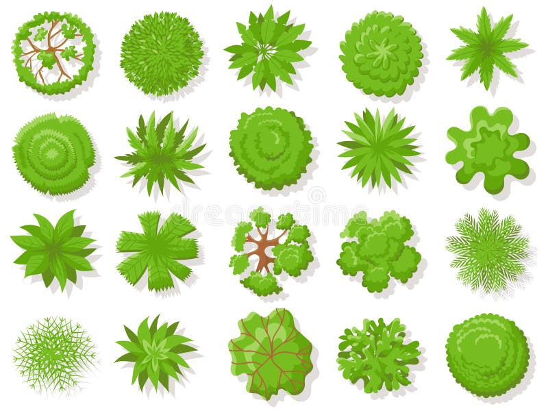 顶视图植物 热带树，绿色植物树从上面空中地图被隔绝的传染媒介收藏的 皇族释放例证