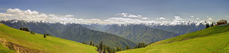 Panorama of Hurricane Ridge mountain landscape, meadow, Olympic National Park, United States. Panorama of Hurricane Ridge mountain landscape, meadow, Olympic National Park, United States
